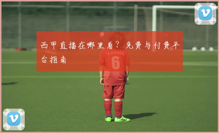 西甲直播在哪里看？免费与付费平台指南